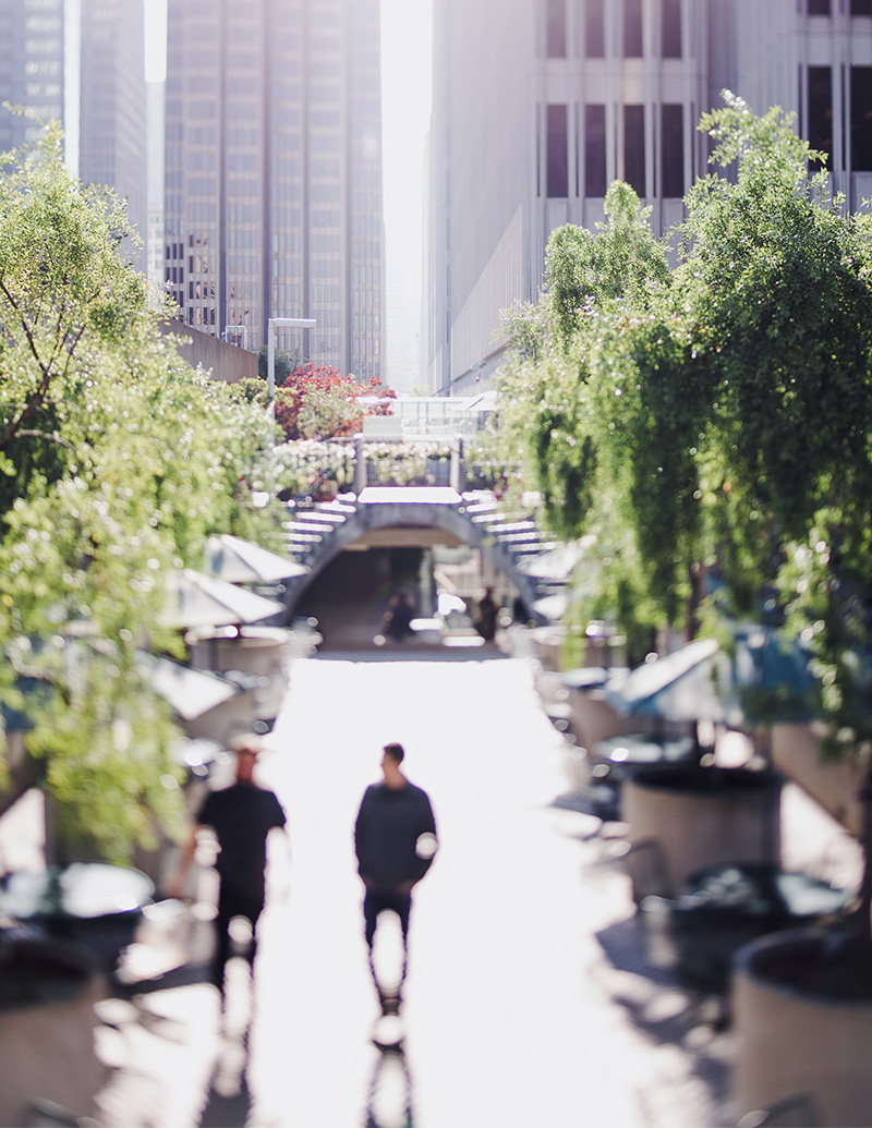 Boost Your Google Maps Game: Get Customers Finding You First